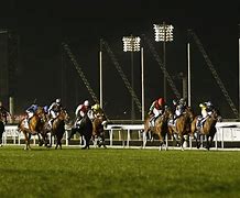 Image result for World Horse Racing in Dubai