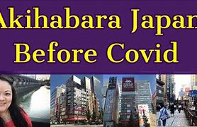 Image result for Akihabara Industrial Area