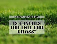 Image result for What Is 4 Inches