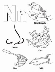 Image result for Preschool Letter N Coloring Pages