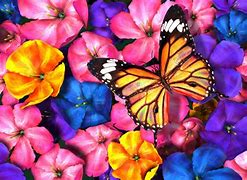 Image result for Mariposas Wallpaper