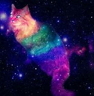 Image result for Galaxy Cat Unicorn