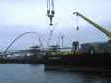 Image result for Woulds Largest Sea Crane