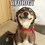 Image result for Please Accept My Apology Meme