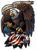 Image result for Bald Eagle with American Flag Anime