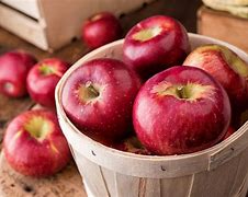 Image result for Photo of Apple