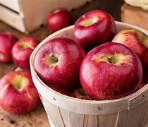 Image result for Some Apples