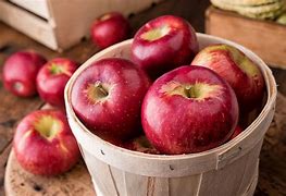 Image result for Some of Apple