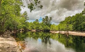 Image result for Suwannee River