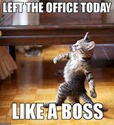 Image result for Boss Cat Meme