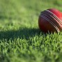Image result for Wallpapers 4K Cricket Anime