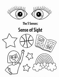 Image result for Five Senses Preschool Diagram