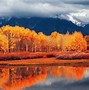 Image result for Autumn Fall Landscapes