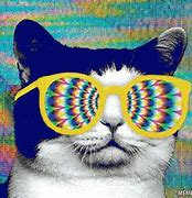 Image result for Animated Trippy Cat