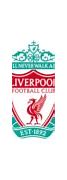 Image result for Liverpool 2018 2019 Kit