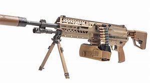 Image result for Militery Rifles Over the Yeqrs