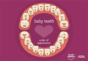 Image result for Baby Teeth Coming Out