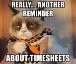 Image result for Timesheet Reminder Cat