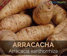 Image result for arracacho