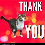 Image result for Best Thank You Meme