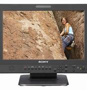 Image result for Sony the Views Expressed Screen