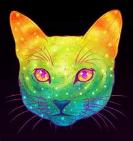 Image result for Galaxy Cat Poster