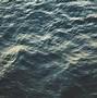 Image result for Deep Sea Life Wallpaper