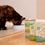Image result for Catnip Toy Sewing Pattern