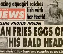 Image result for Silly News Story