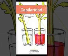 Image result for capiralidad