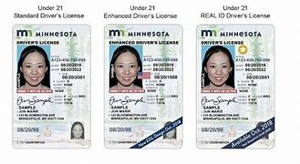 Image result for MN Temporary ID