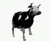 Image result for Cow Age App Meme