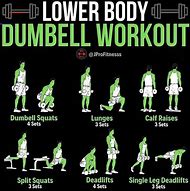 Image result for Lower Body Leg Workout