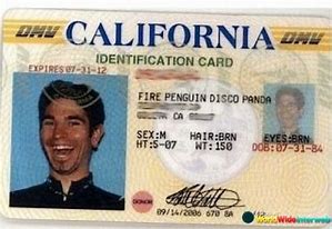 Image result for Funny Driver's License Quotes