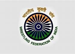 Image result for Wrestling Federation of India Logo