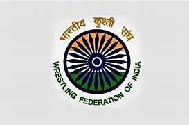 Image result for Wrestling Federation of India Logo