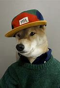 Image result for Dog with Swag