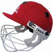 Image result for Cricket Helmets Safety