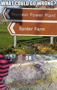 Image result for Spider Typing Meme
