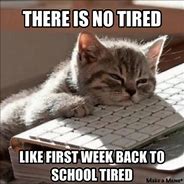 Image result for Random School Memes