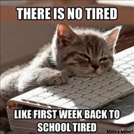 Image result for First Week of School Meme