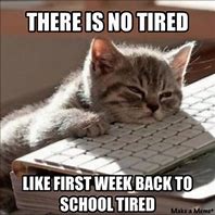 Image result for Meme About School Difference
