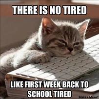 Image result for Really Funny School Memes