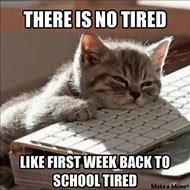 Image result for Funny School Days Memes