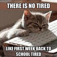 Image result for Meme Ideas About School