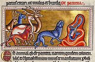 Image result for bestiario