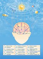 Image result for The Planets Brain