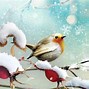 Image result for Snow Birds