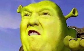 Image result for Shrek Cringe