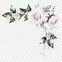 Image result for Rose in Water Drawing